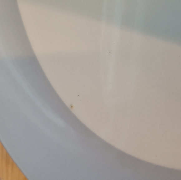 Set of Two Eclectic Ceramic  Serving Platters Steel Gray & Bisque - Picture 3 of 15